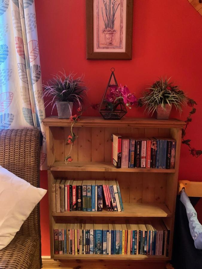 בלפסט Ashfield Bed & Breakfast מראה חיצוני תמונה
